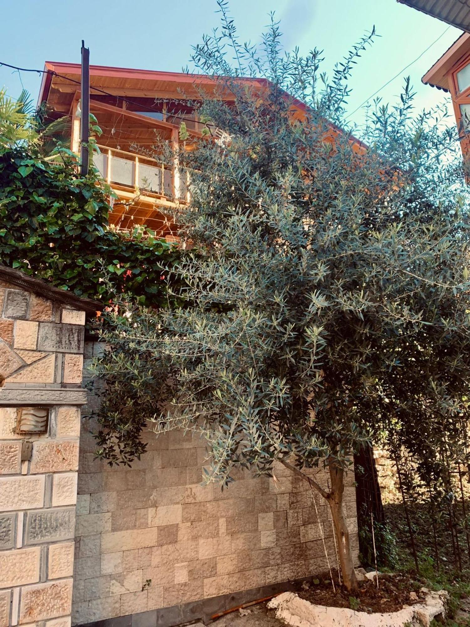 Alimeti Guesthouse Berat Eksteriør bilde